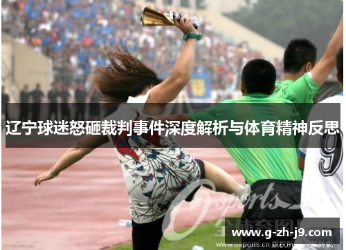辽宁球迷怒砸裁判事件深度解析与体育精神反思