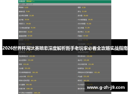2026世界杯淘汰赛赔率深度解析新手老玩家必看全攻略实战指南