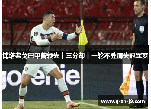 博塔弗戈巴甲曾领先十三分却十一轮不胜痛失冠军梦 博塔弗戈巴甲曾领先十三分却十一轮不胜痛失冠军梦